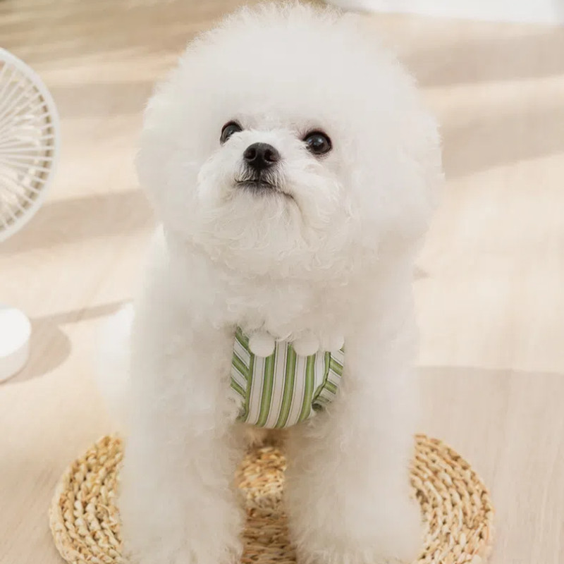สัตว์เลี้ยงลูกไม้ลูกไม้สายกลับหัวใจสุนัขขนาดเล็กสายเสื้อกั๊กแมวสองขาเสื้อผ้า ราคา ถูกที่สุด ดีลบีเคเค แกลเลอรีภาพที่ 6