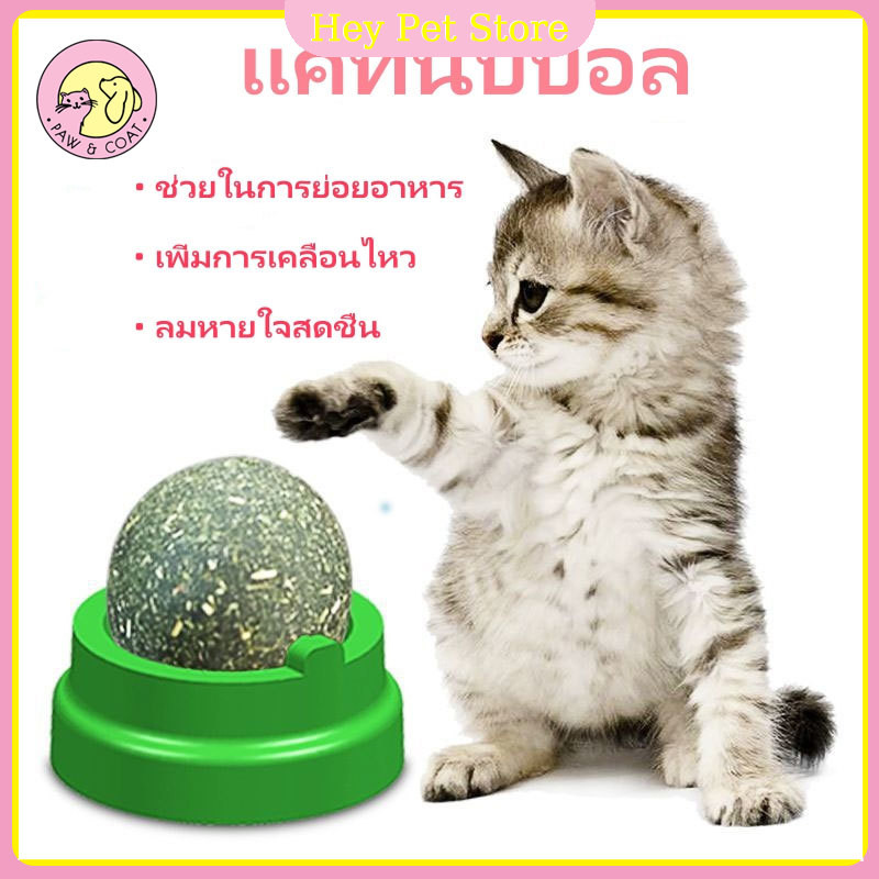 อาหารสุดโปรดของแมว คลายเครียด ลดอาการขนร่วง กัญชาแมว ของกินเล่นแมว ของเล่นแมว ทำให้ภายในช่องปากสดชื่น