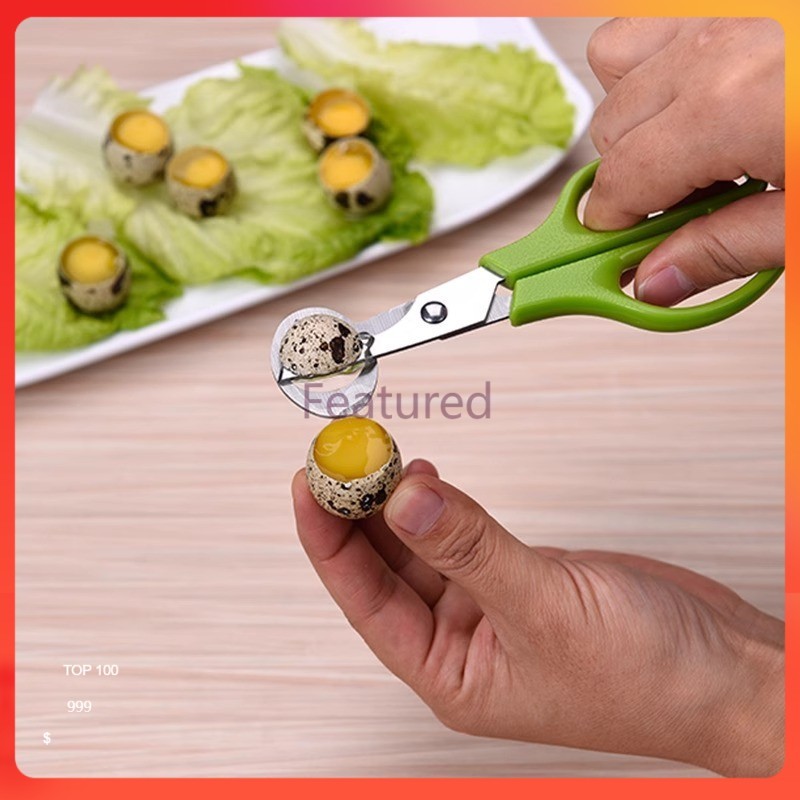Featured กรรไกรตัดไข่นกกระทา กรรไกรตัดไข่สแตนเลส เครื่องมือเปิดไข่และไข่นก