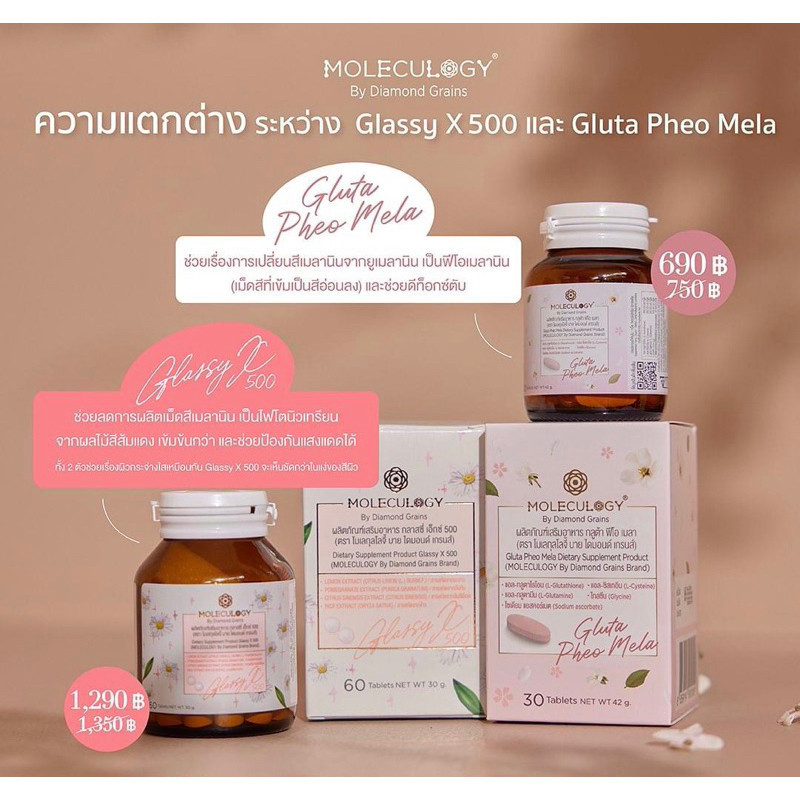 Moleculogy Gluta Pheo Mela (30เม็ด/กระปุก) ผลิตภัณฑ์เสริมอาหาร กลูต้า ฟีโอ เมลา ราคา ถูกที่สุด ดีลบีเคเค แกลเลอรีภาพที่ 7