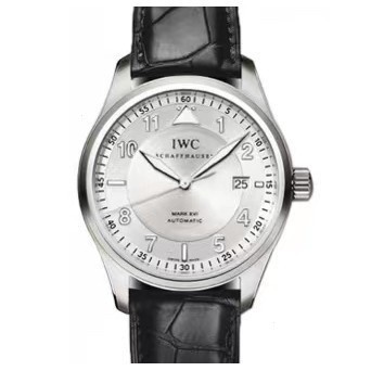 Iwc IWC Pilot Series 39mm Automatic Mechanical Men 's Watch IW325502
