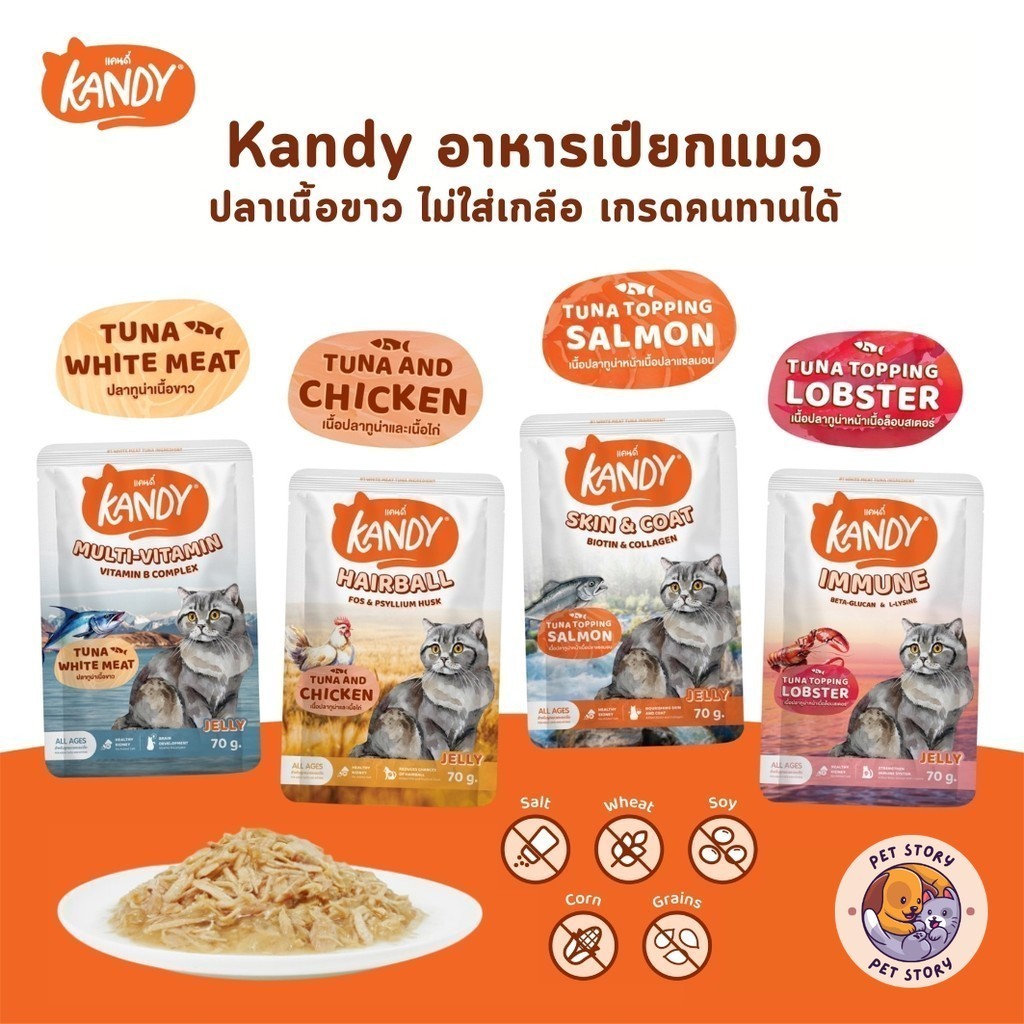 Kandy แคนดี้ อาหารเปียกแมว ไม่ใส่เกลือ ผลิตจากปลาเนื้อขาว ขนาด 70 กรัม