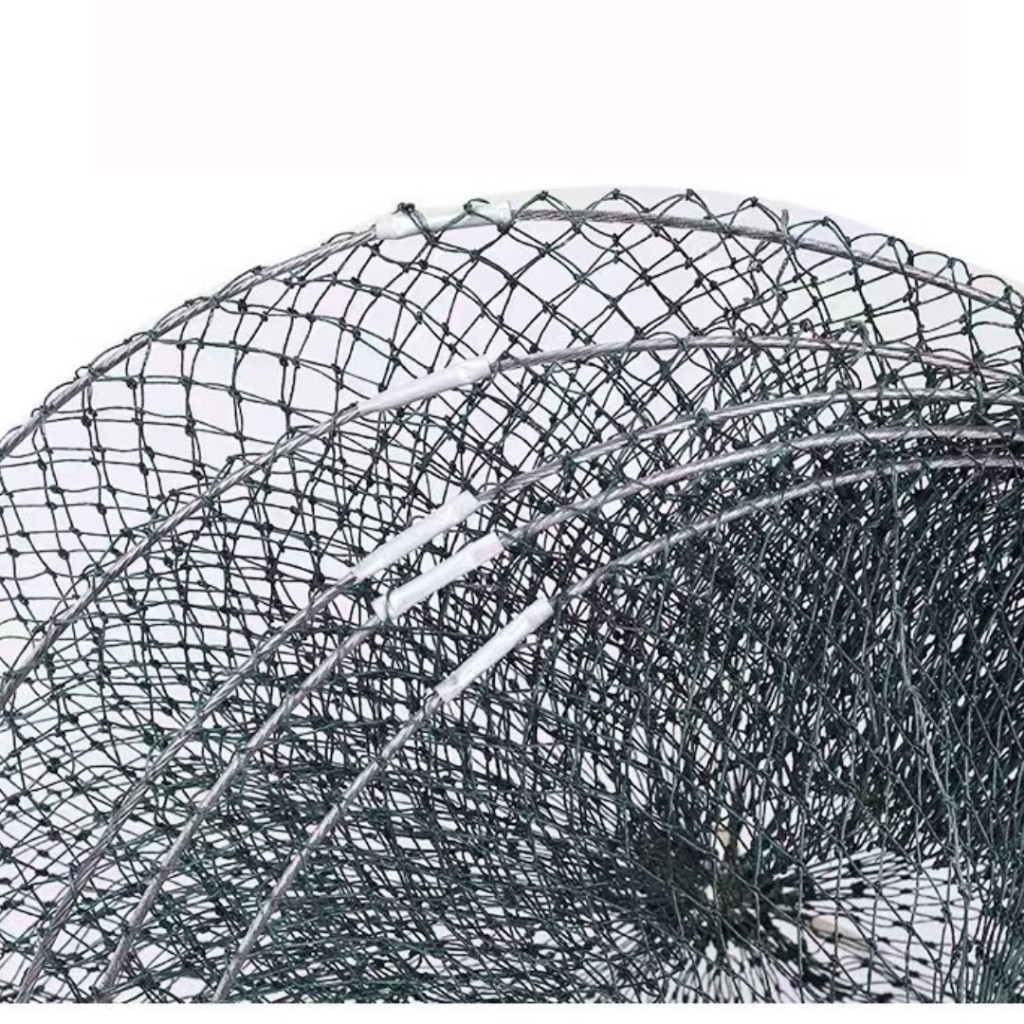 🧦 กระชังใส่ปลา กระชังขดลวด ตาข่ายไนล่อน ขอบปากลวดเหล็ก แข็งแรง เหนียว ทนทาน/G0020 🥕 - รูปที่ 3