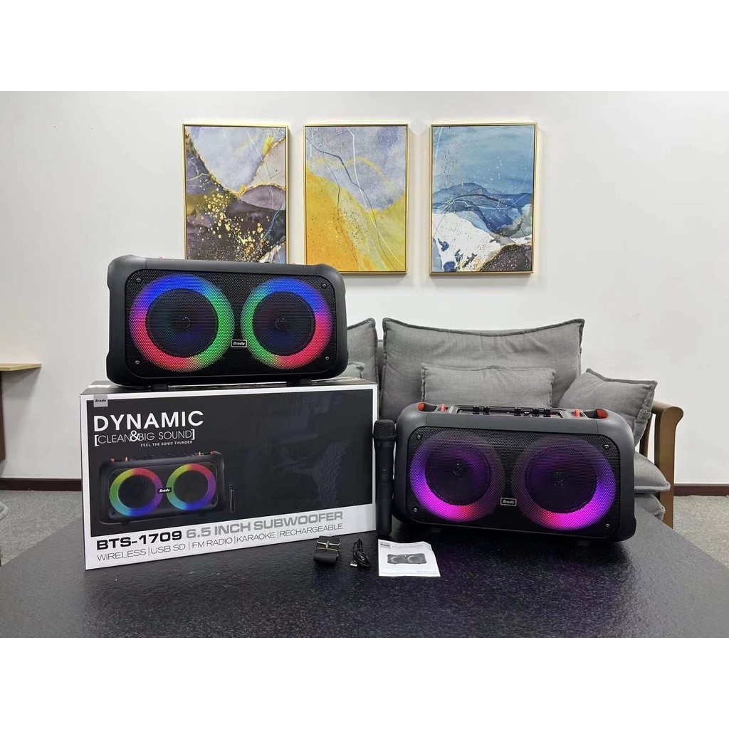 wireless karaoke speaker ลำโพงบลูทูธ รุ่น BTS-1709 ขนาดพกพาได้ คู่6.5นิ้ว เบสหนัก มีไฟLEDสวยมาก