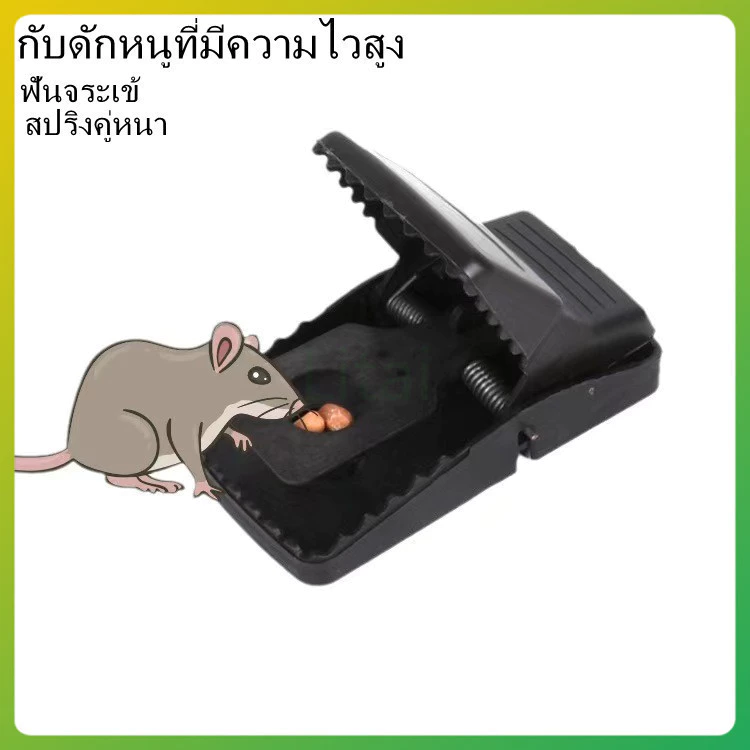 litai ที่ดักหนู แบบสปริง อุปกรณ์ดักหนู เหยื่อดักหนู สารกำจัดหนู กับดักหนูสปริง