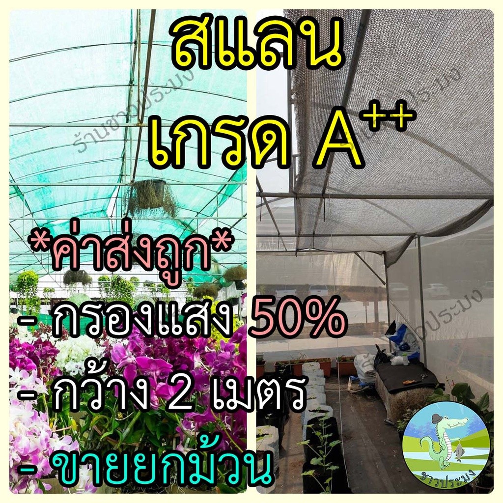 สแลน หน้ากว้าง 2 เมตร กรองแสง 50% ขายยกม้วน 100 เมตร สแลนกรองแสง สแลนกันแดด สแลนบังแดด สแลม