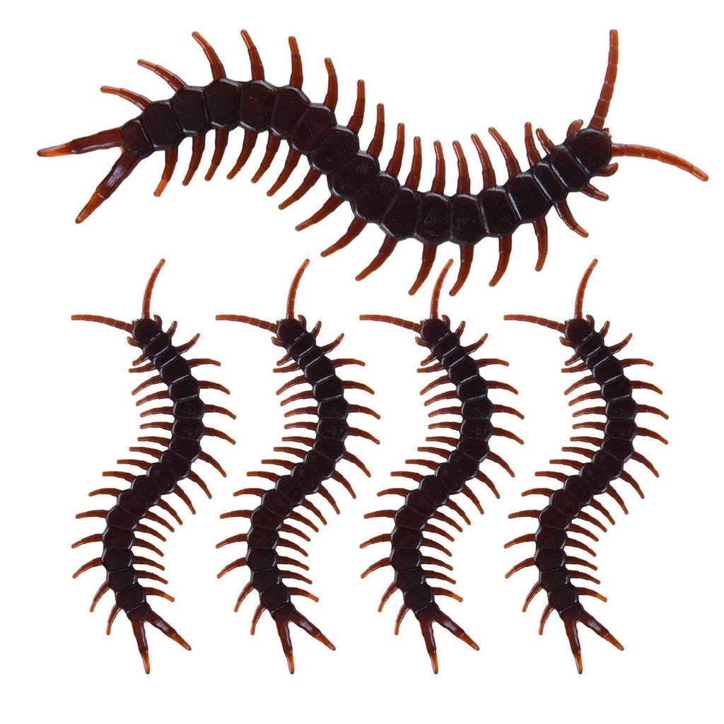 จําลอง Centipede รุ ่ น 5pcs Centipedes Prank ของเล ่ นตลกสยองขวัญฮาโลวีน Props Tricks จําลอง Centipedes hjuth hjuth