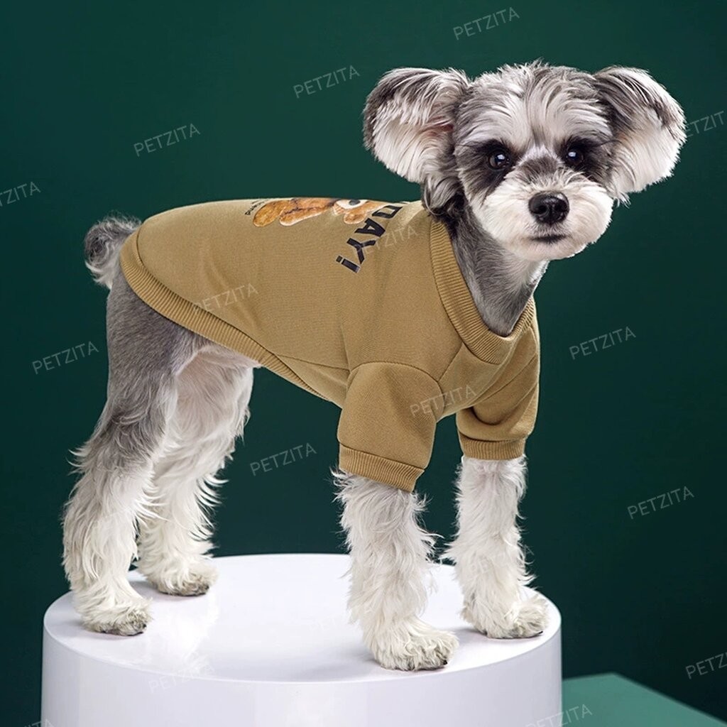 🇹🇭พร้อมส่ง🇹🇭 🐻🐻🐻 เสื้อลายตุ๊กตาหมี - ผ้าเนื้อนิ่ม น่ารักมากจ้า FOR PET สุนัข แมว - รูปที่ 6