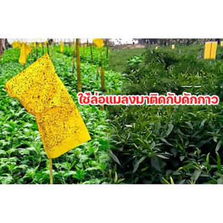 สเปร์ยล่อแมลงวันทอง/สารล่อแมลงวันทอง/อุปกรณ์ดักแมลงวันทอง กับดักแมลงวันทอง น้ำยาดักแมลงวันทอง น้ำยาล่อแมลงวัน หัวเชื้อ