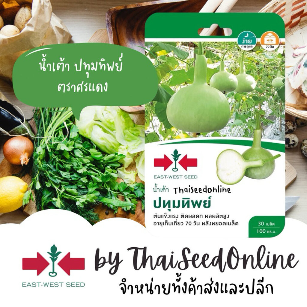 Sorndang(ศรแดง) GGEW เมล็ดพันธุ์ น้ำเต้าลูกกลม ปทุมทิพย์ ประมาณ 30เมล็ด ตราศรแดง