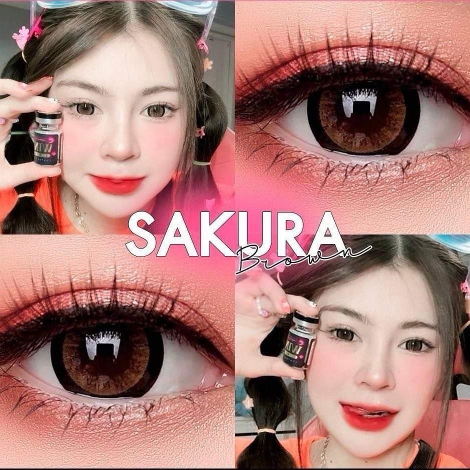Sakura Brown ขนาดตาโต กรองแสงuv เลนส์แท้จดทะเบียนถูกต้อง ผ่านอย.ไทย บิ๊กอายส์  Bigeyes