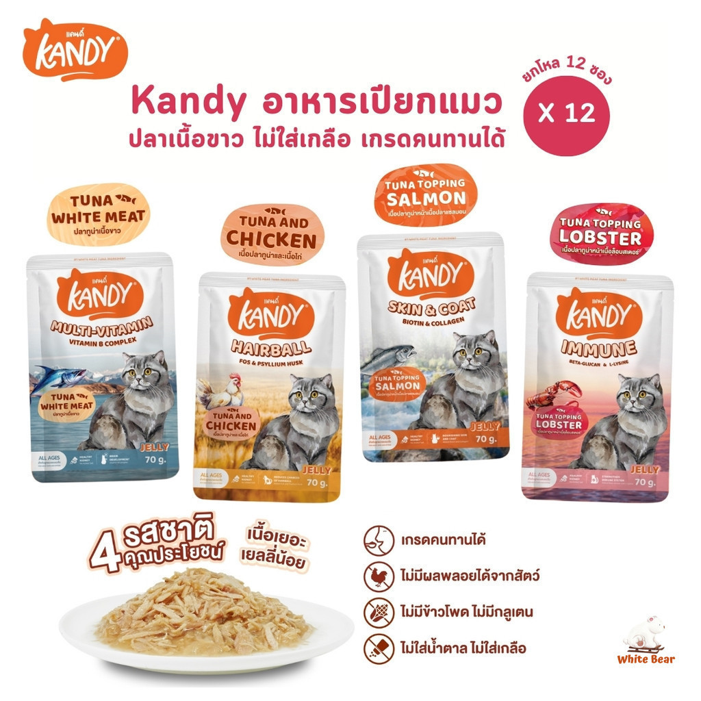 Kandy แคนดี้ [ยกโหล 12 ซอง] อาหารเปียกแมว ไม่ใส่เกลือ ผลิตจากปลาเนื้อขาว ขนาด 70 กรัม