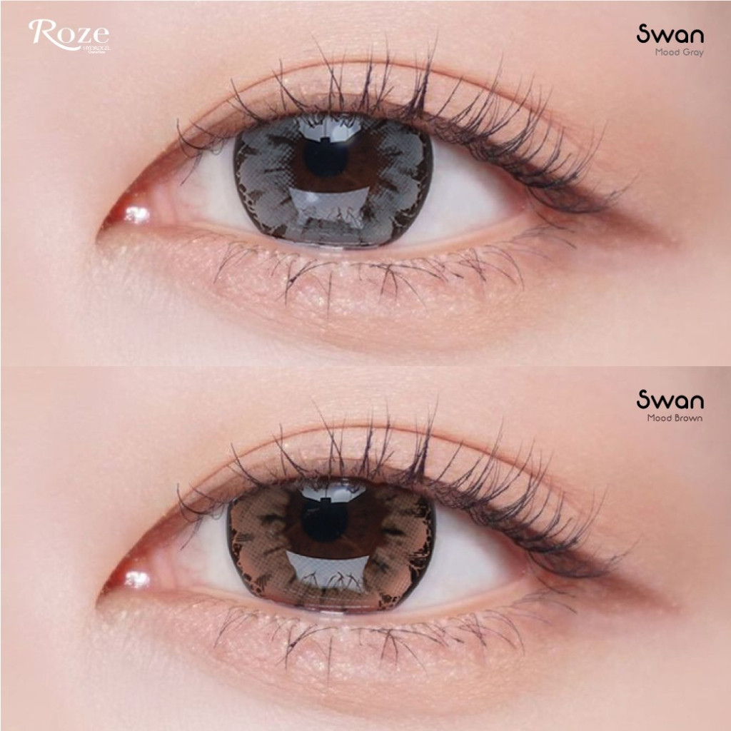 🔥คอนแทคเลนส์ Hydrogel 💗ขนาดบิ๊กอาย💗 Swan (Rozelens) สี Brown / Gray