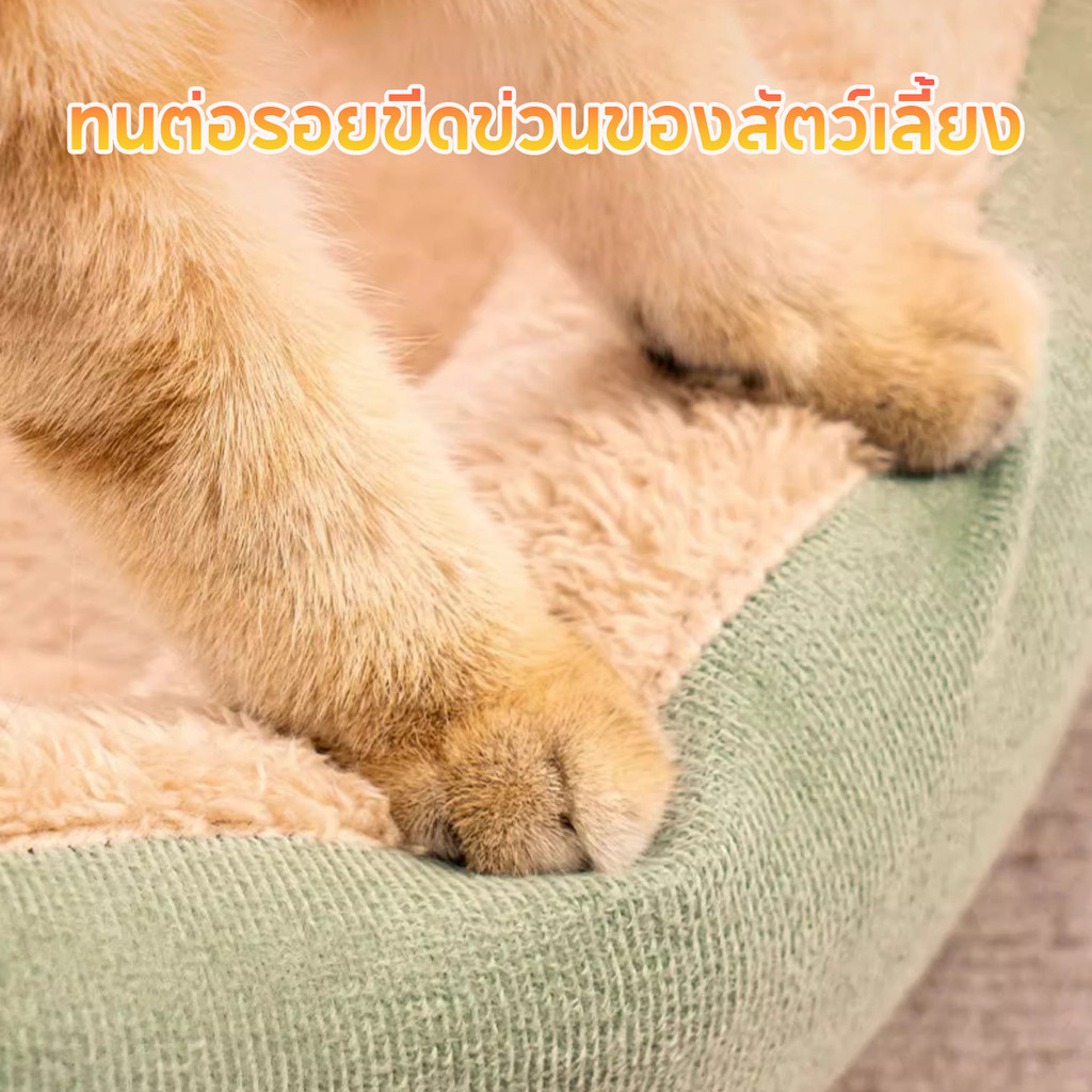 รูปภาพ 4