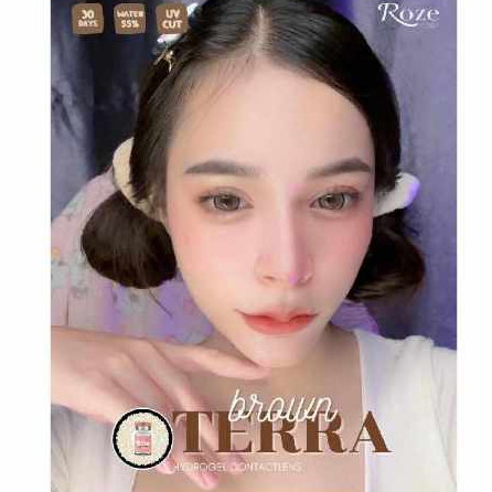 🔥คอนแทคเลนส์ Hydrogel✨ขนาดบิ๊กอาย ใหญ่มาก✨ Terra ✨Rozelens ✨ Brown/Gray