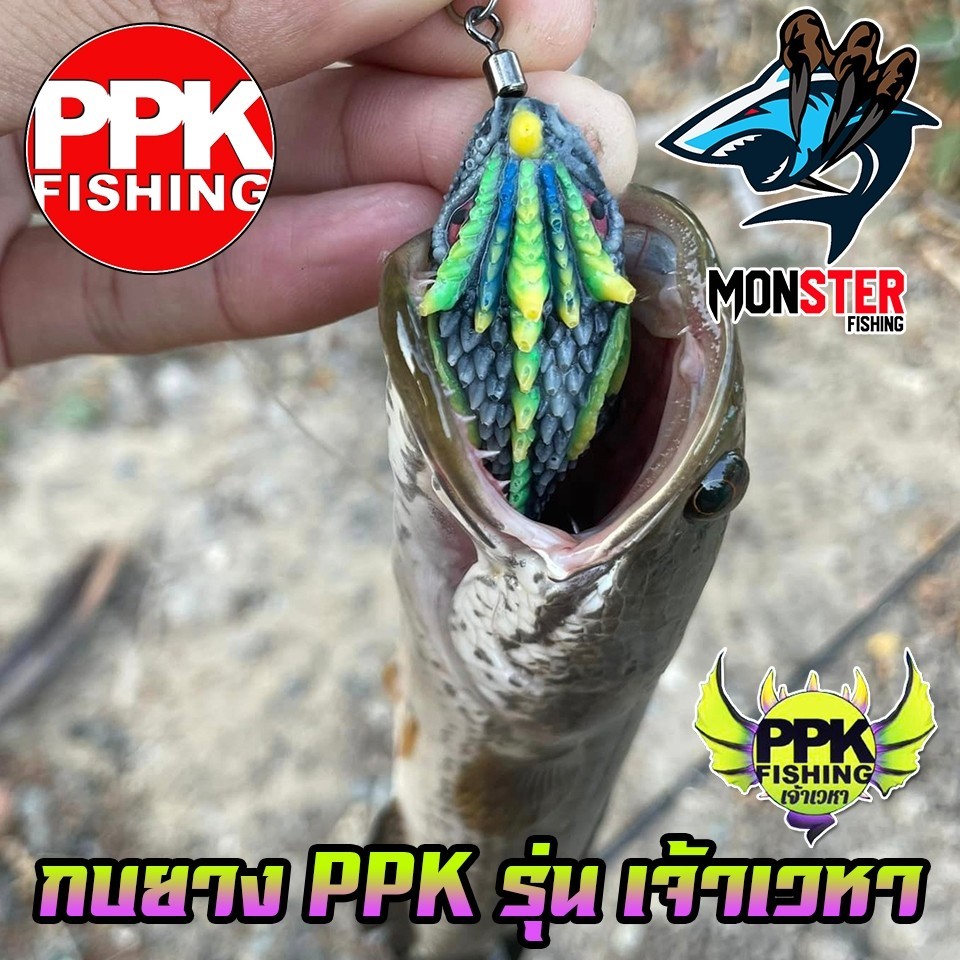 Thumbnail 9