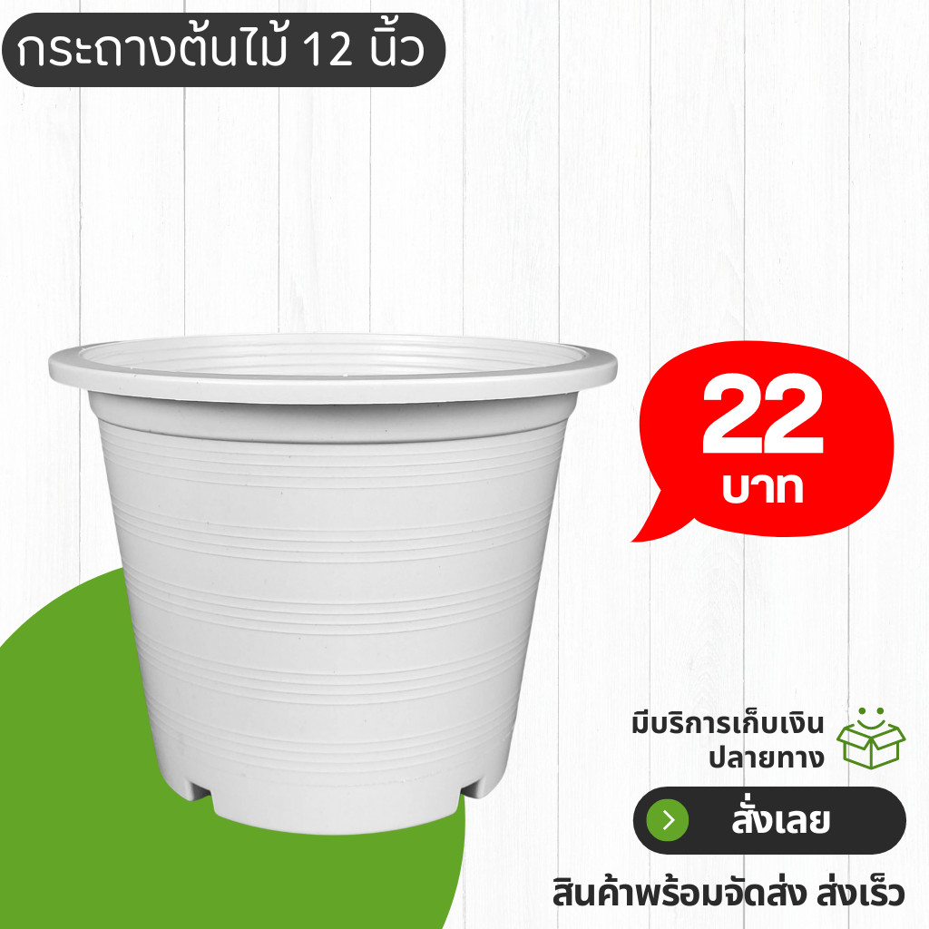 กระถาง กระถางต้นไม้ ทรงกลม เบอร์ 12 นิ้ว สีขาว Bundle 25 ใบ