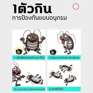 【1 ฟรี 1】อาท แบล็ค แคป เหยื่อกำจัดแมลงสาบ สำเร็จรูป บรรจุ 6ชิ้น ใช้ได้นาน1ปี ARS BLACK CAP 6pcs./box EFFECTIVE FOR A YEA