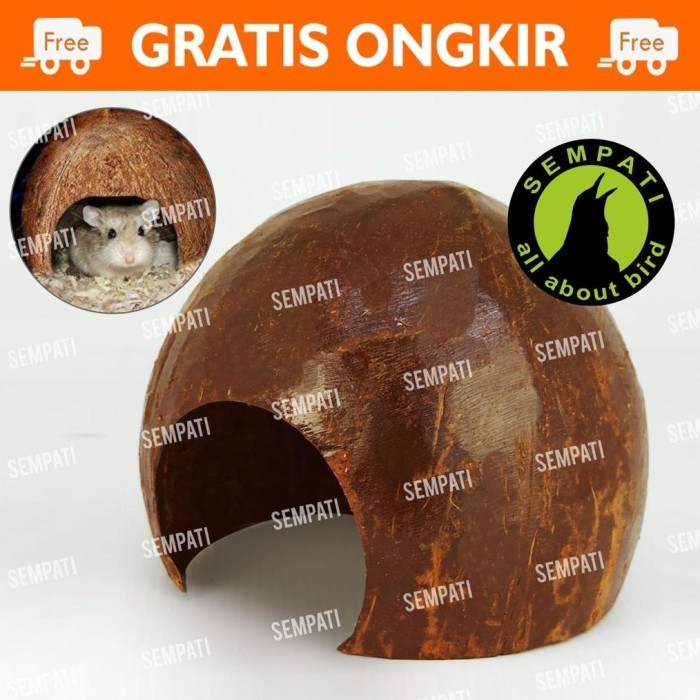 HAMSTER NEST COCONUT SHELL NATURAL HIDING CAVE HOUSE รัง