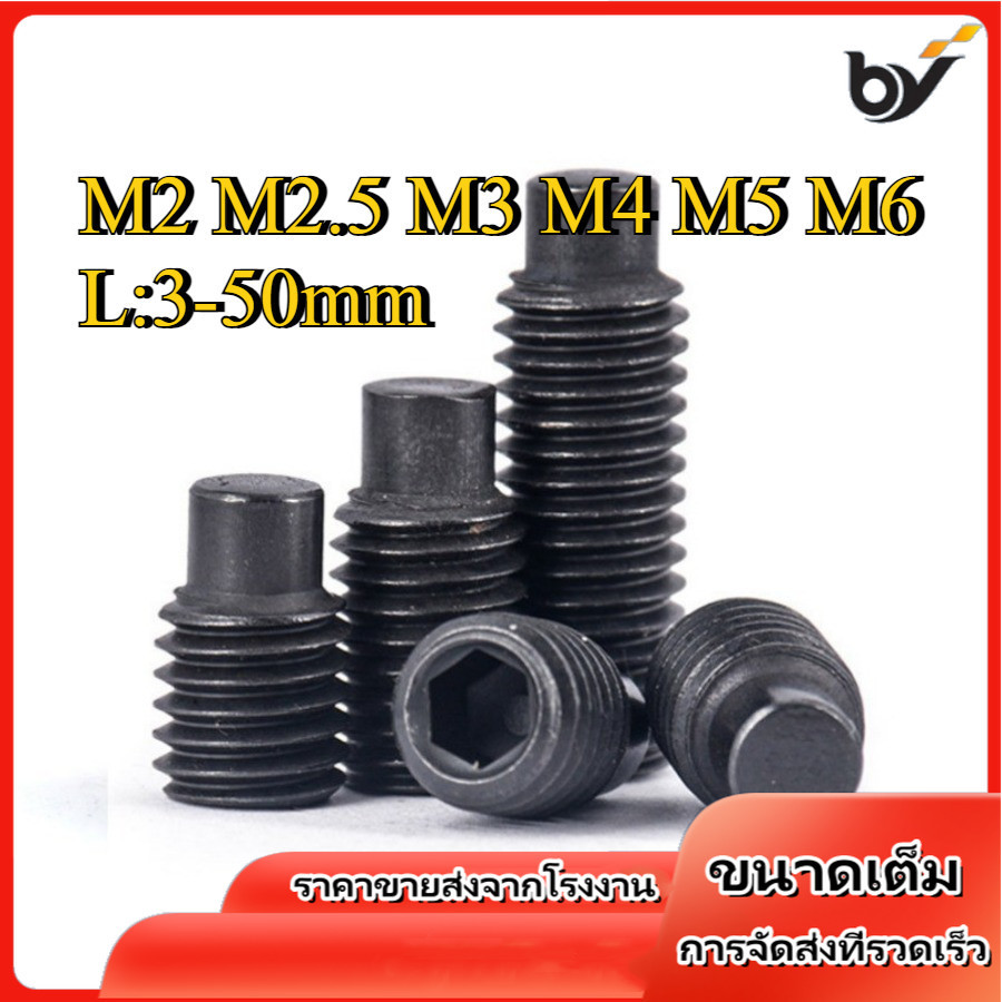 สกรู ตัวหนอน หกเหลี่ยม ปลายแหลม 12.9 ชุบดำ  เกลียวมิล หยาบ  / Hex Socket Set Screw M2/M2.5/M3/M4/M5/