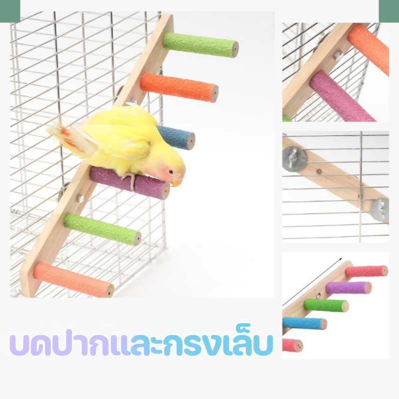 พร้อมส่ง🦜บันไดนกแก้ว 4/6/8ขั้น ของเล่นนก ของเล่นบันไดกรงนก ติดตั้งง่าย บันไดติดข้างกรงสัตว์เลี้ยง