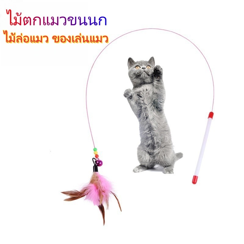 Interactive Wire Feather Cat Teaser Stick สนุกสัตว์เลี้ยงของเล่นสําหรับลูกแมว Enttaining Bell Feather Fish Wand ขี้เล่นแมวอุปกรณ์เสริม
