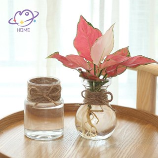 [อาจโฮม] กระถางดอกไม้โปร่งใสแจกันภาชนะไฮโดรโพนิภูมิทัศน์ขนาด…
