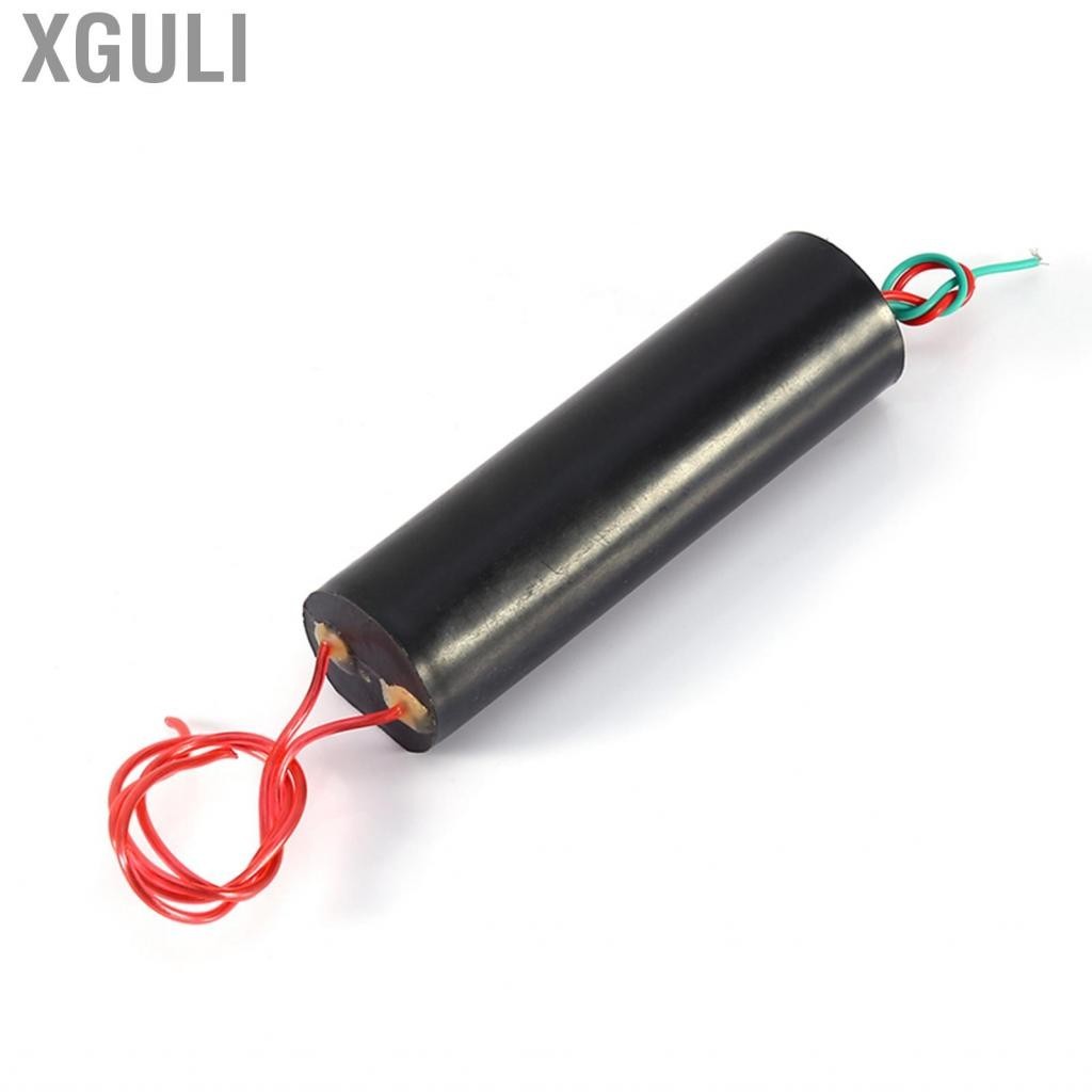 Xguli 800-1000 KV High Voltage Pulse Inverter Arc Generator Ignition Coil Module