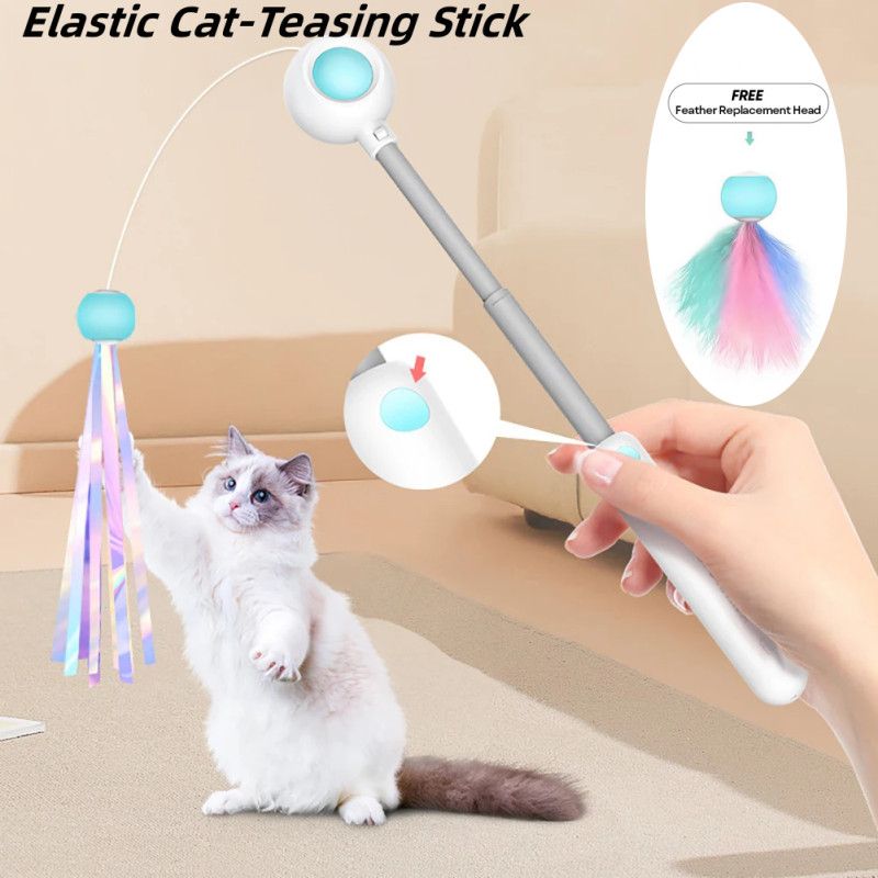 Interactive ของเล่นแมว Retractable Cat Teaser Stick ของเล่นสําหรับลูกแมวยาว Rod อินฟราเรดตัวชี้เลเซอร์ Feather Bell เปลี่ยนหัวสัตว์เลี้ยงอุปกรณ์