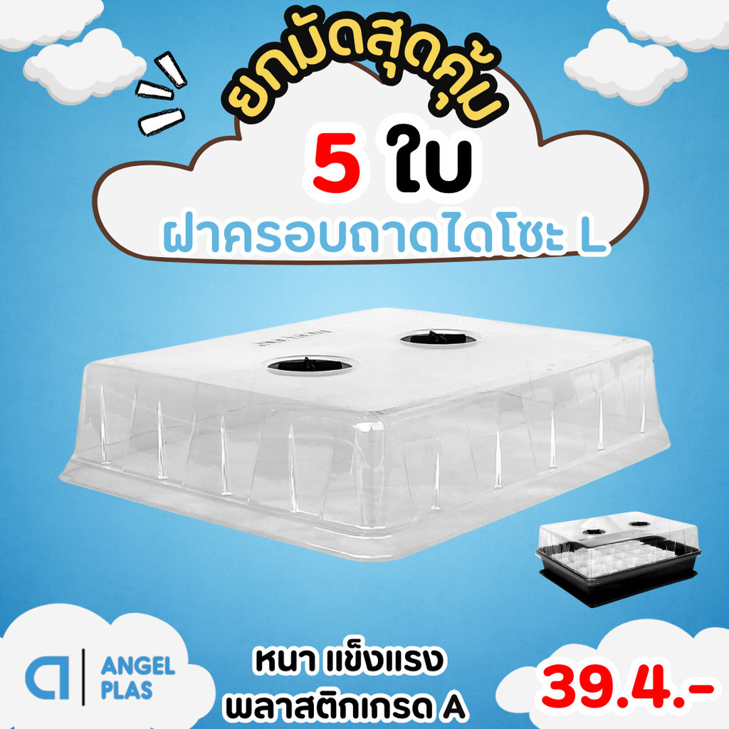 กระถาง ฝาครอบถาดไดโซะ ครอบต้นไม้ Size L สีใส