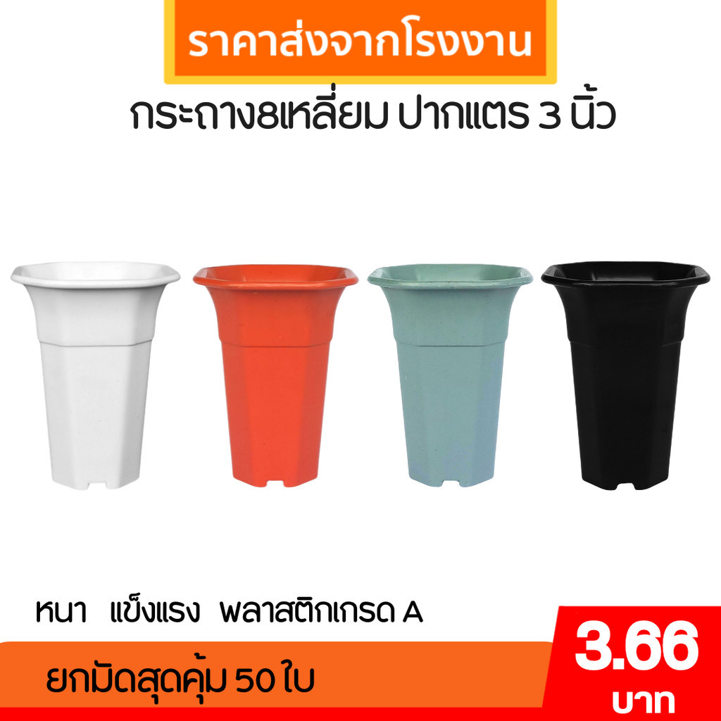 กระถางแคคตัส กระถางเหลี่ยม กระถางปากแตร 3 นิ้ว สีดำ Bundle 50 ใบ