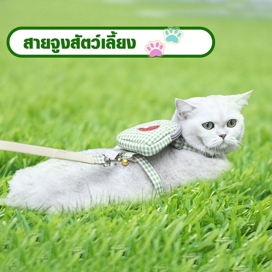 shophome468 DUDUPETS สายจูงสัตว์เลี้ยง รุ่น S01-Mขนาด9.5X10X120ซม.สีเขียว รับประกันของเเท้