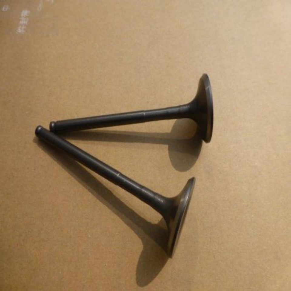 Wuyang Honda WH125-15-16 Fengyun Engine Valve Intake and Exhaust Valve