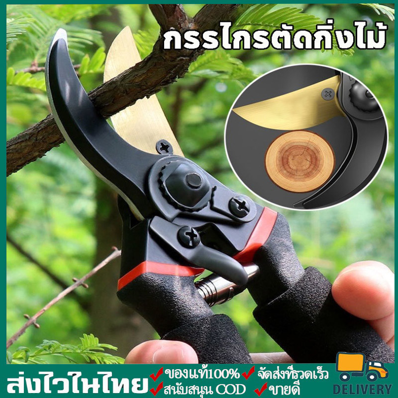 จัดส่งในวันเดียวกัน ✂️กรรไกรตัดกิ่งไม้ กรรไกรตัดหญ้า แต่งสวน กรรไกรตัดกิ่ง sk5✂️