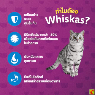 วิสกัส อาหารแมวชนิดเม็ด สูตรควบคุมก้อนขน สำหรับแมวโต รสไก่และปลาทูน่า 1.1 กก.