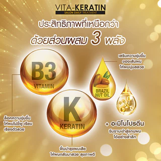 Vita Keratin Salon Daily Treatment วีต้า เคราติน ทรีทเมนท์บำรุงเส้นผม 250ml (Color Shine/Deep Repair/Sliky Straight)