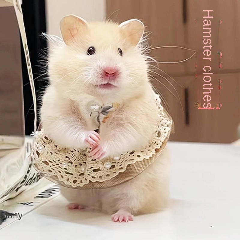 【Ready Stock】 Hamster Clothes Four Seasons Universal Clothing Skirt Minipet Sweater Djungarian Hamst