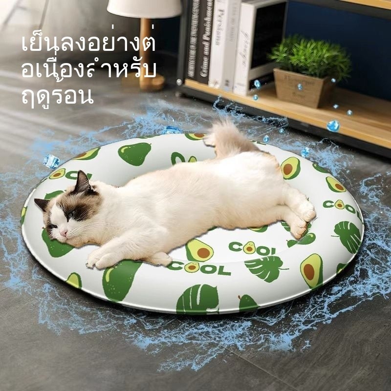 บ้าน > ผลิตภัณฑ์ > Pet Cat Dog Kennel (D8d6047fe50d166b3f755429c6d0cfbc รวมผลิตภัณฑ์สำหรับ Pet Cat D