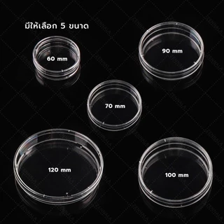 จานเพาะเชื้อ พลาสติก 10 คู่(จาน+ฝาครอบ) Disposable Plastic Petri Dishes มีให้เลือก 5 ขนาด