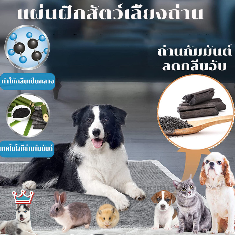 AimayaPet  แผ่นรองฉี่สุนัข รุ่นชาโคล แผ่นรองฉี่แมว ยถ่านหินคาร์บอน ดูดกลิ่นดี ต่อต้านแบคทีเรีย S M L XL - รูปที่ 5