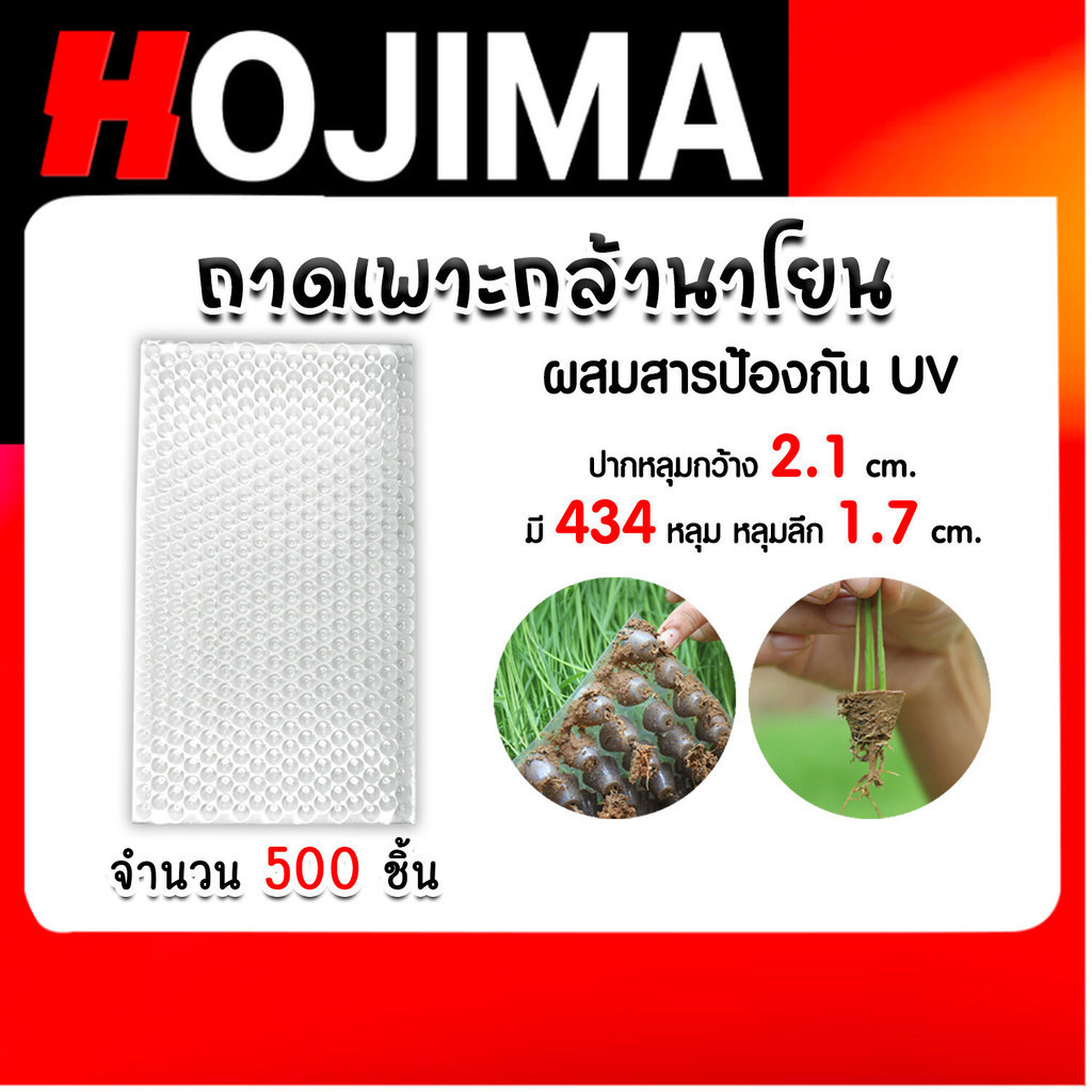 ถาดเพาะกล้านาโยน 434 หลุม แพ็ค 500 ชิ้น ถาดเพาะกล้า ถาดเพาะนาโยน เพาะกล้านาโยน กล้านาโยน ถาดนาโยน ถา