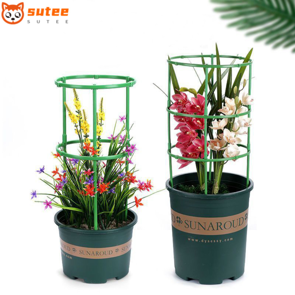 สุดยอด ไม้ค้ําต้นไม้ 3 ชุด, ไม้ค้ําเถาวัลย์ปีนเขาแบบถอดได้สีเขียว, ทนทานใช้งานง่ายครึ่งรอบดอกไม้แหวนสนับสนุนแร็ค