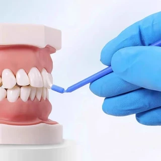แปรงไมโครยาวทันตกรรมแบบใช้แล้วทิ้ง 100 ชิ้น - Gingival Applicator, 10 ซม., สีฟ้า/สีชมพูตัวเลือก
