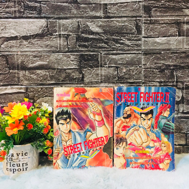 🦊🦁🐵🐨:หนังสือการ์ตูน:เรื่อง:STREET FIGHTER  1-2 ขุด(22238)