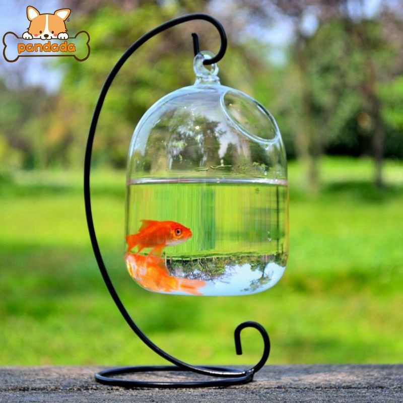 Mini Glass Fish Tanks Hanging Glass Aquarium Fish Bowl Hanging Ball Terrarium