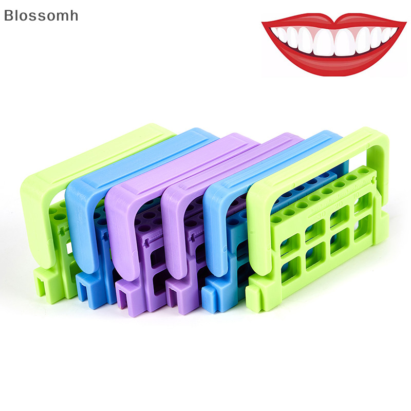 Blossomh 8/16 หลุม Bur Endo Files Block Holder Stand Autoclave Disinfection Box ใหม ่ ราคา ถูกที่สุด ดีลบีเคเค