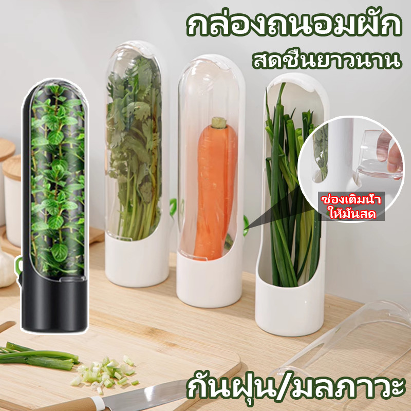 พร้อมส่ง กล่องถนอมผัก ที่เก็บผัก ถ้วยสมุนไพรสด ประหยัดเนื้อที่ในตู้เย็น สดชื่นยาวนาน กันฝุ่น/มลภาวะ