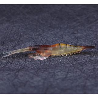 F111 กุ้งปลอม เหยื่อล่อตกปลา เหยื่อปลอม พร้อมส่ง