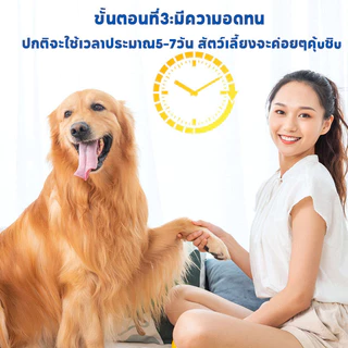 QQ PET เตรียมพร้อม500mlสเปรย์ฝึกการขับถ่าย เพียงพ่น ฝึกหมาและแมวขับถ่ายสเปรย์ฝึกขับถ่ายสุนัขสเปรย์ฝึกหมาฉี่