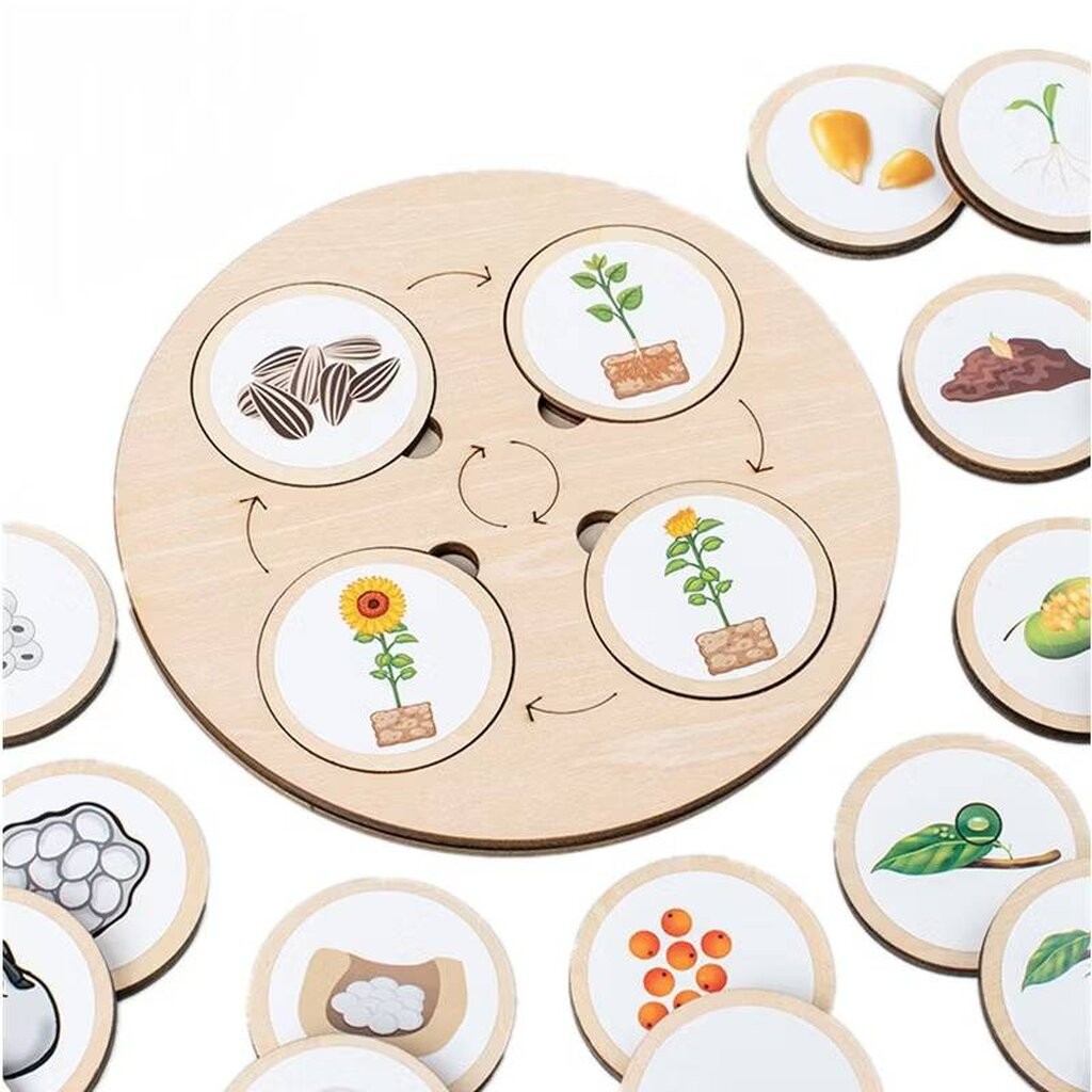 Life Cycle Puzzle วงจรชีวิตสัตว์ ชุดเรียนรู้วงจวชีวิต บอร์ดเรียนรู้ชีวิตสัตว์ การเจริญเติบโต